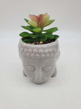 Buddha Head with Plant Top Figurine - 5"